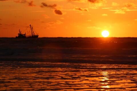 Sonnenuntergang mit Fischkutter